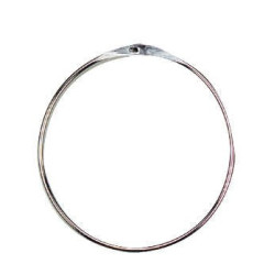 Anneau de présentation