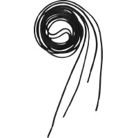 Lacets Equithème Noir