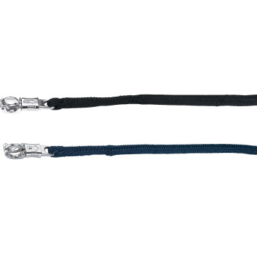 Longe d'attache anti-renard