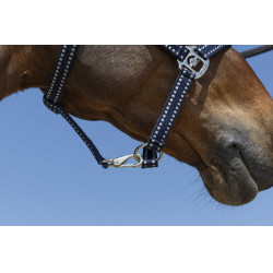 Licol Norton Grooming Marineblauw