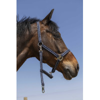 Licol Norton Grooming Licol Norton Grooming