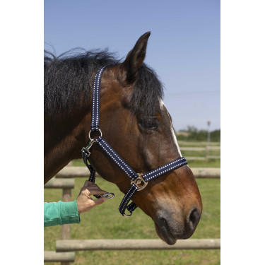 Licol Norton Grooming Marineblauw