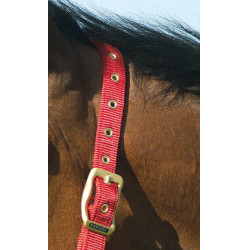 Licol Equithème Nylon Rouge