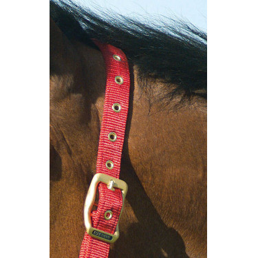 Licol Equithème Nylon Rouge