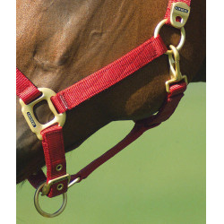 Licol Equithème Nylon Rouge