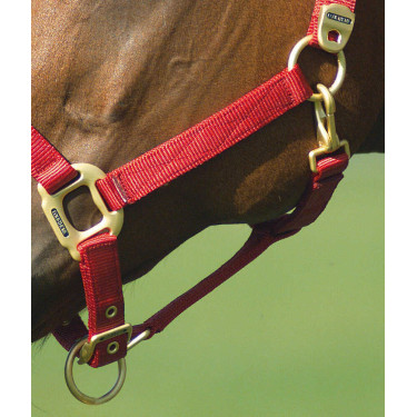 Licol Equithème Nylon Rouge