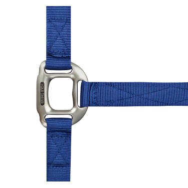 Licol Equithème Nylon Bleu roi