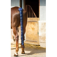 Protège-queue Norton Doudoune long Protège-queue Norton Doudoune long