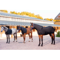 Protection d'épaules Equithème Protection d'épaules Equithème