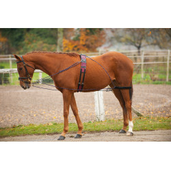 Enrênement à poulies Norton