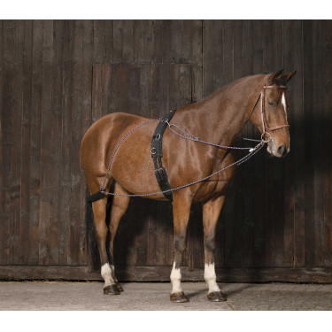 Enrênement à poulies Norton