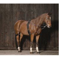 Norton katrollenhulpteugel