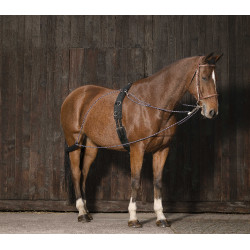 Norton katrollenhulpteugel