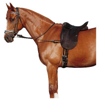 Elastische verstelbare hulpteugel