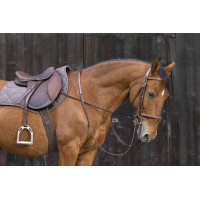 Enrênement élastique réglable Enrênement élastique réglable