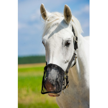 Protège naseaux maille anti-mouches