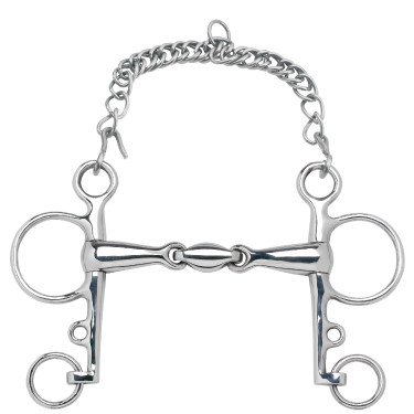 Mors Pelham Feeling Anatomic branches courtes