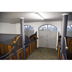 IPCam 360 FHD 1080p Kerbl Camera