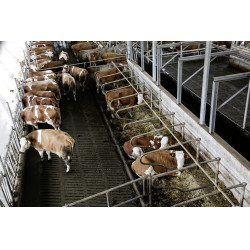 IPCam 360 FHD 1080p Kerbl Camera