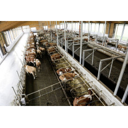 IPCam 360 FHD 1080p Kerbl Camera