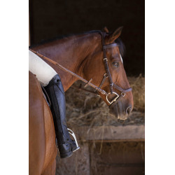 Mini-chaps Equithème Premium Zwart