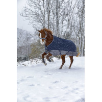 Equithème Tyrex 600 D 300g deken