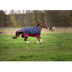 Equithème Tyrex 1200 D deken Marine / bordeaux Blauw