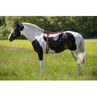 Tapis de monte à cru Norton