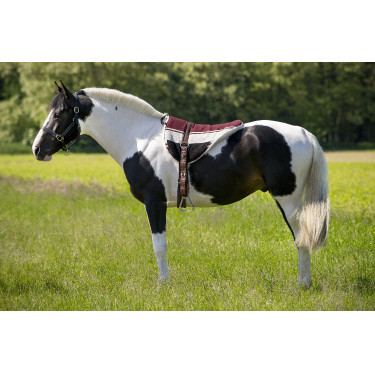 Tapis de monte à cru Norton