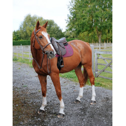 Tapijt GEM Ten Rozijn Violet