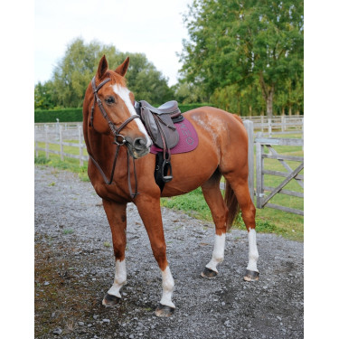 Tapijt GEM Ten Rozijn Violet