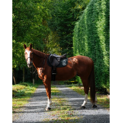 Tapis GEM Ten Vert sapin Tapis GEM Ten Vert sapin