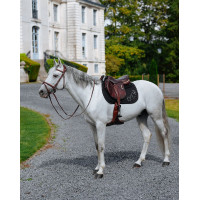 Tapis de selle GEM Lucky Noir