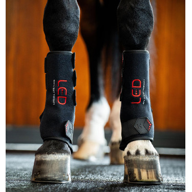 Guêtres de thérapie Horseware par lumière rouge LED Noir / noir