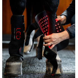 Horseware therapeutische peesbeschermers met rood LED-licht Zwart / zwart