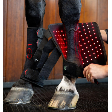 Horseware therapeutische peesbeschermers met rood LED-licht Zwart / zwart