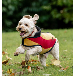 Couverture polaire Horseware Newmarket pour chien Or blanc