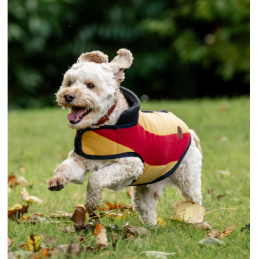 Couverture polaire Horseware Newmarket pour chien Or blanc