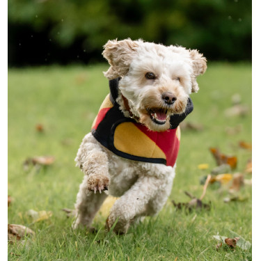 Horseware Newmarket fleecedeken voor hond Witgoud