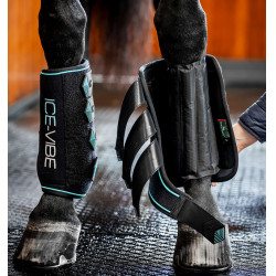 Guêtres Horseware Ice-Vibe Noir / aqua