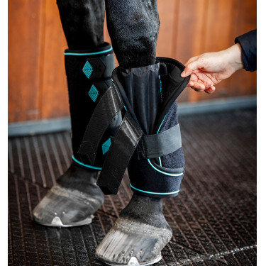 Guêtres Horseware Ice-Vibe Noir / aqua