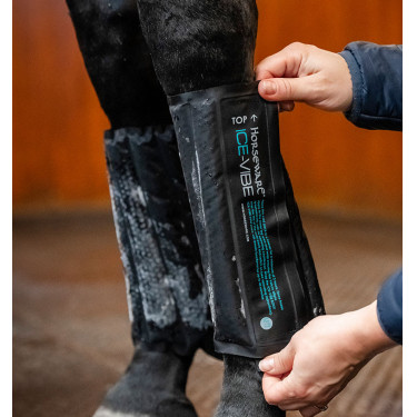 Guêtres Horseware Ice-Vibe Noir / aqua
