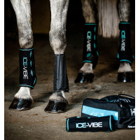 Guêtres Horseware Ice-Vibe Noir / aqua