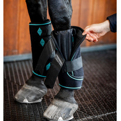 Guêtres Horseware Ice-Vibe Noir / aqua
