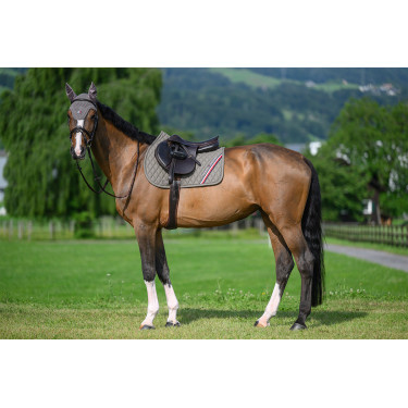 Tapis de CSO Tommy Hilfiger Equestrian Stanford Ash Bleu marine