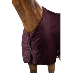 Couverture d'extérieur réfléchissante Horze Newbridge 300 g Figue Violet