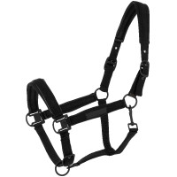 Licol Equithème Pearl