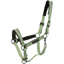 Licol Equithème Pearl