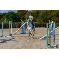 Seamless T-shirt met korte mouwen Equithème Elena dames Kaki Groen