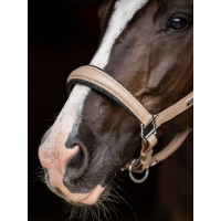 Equestrian Stockholm anatomisch glinsterend lederen halster Full kastanjebruin